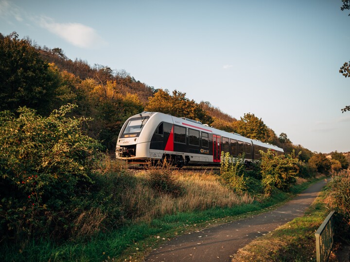 Ein Zug des Typs LINT41 fährt durch eine herbstliche Landschaft