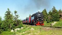 Ab dem 18. Mai werden wieder Dampfzüge zum Brocken fahren. Auf den Strecken der Harzquer- und Selketalbahn verkehren zunächst Triebwagen.